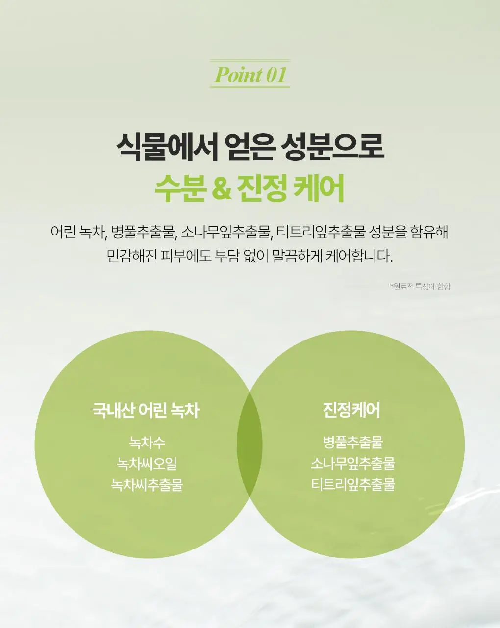 식물나라 클렌징오일 200ml/250ml [어린녹차/뽀얀쌀] 상세페이지 28